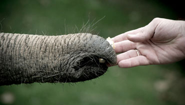 BEST NGO IN DELHI NCR